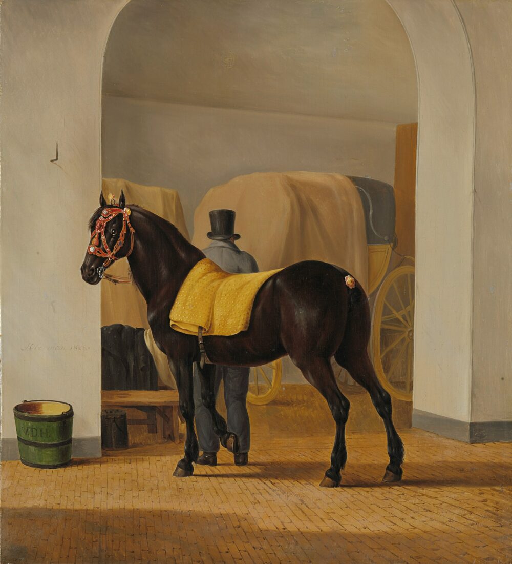 Elegance in the Stable: The Groomed Horse