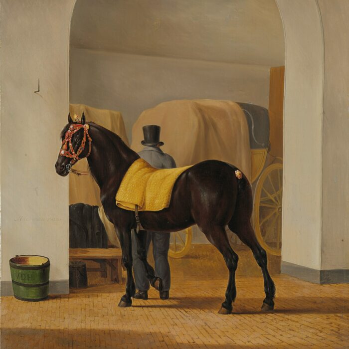 Elegance in the Stable: The Groomed Horse